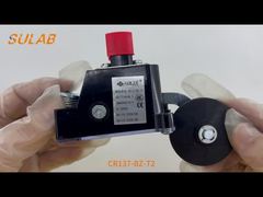 CR137-BZ-T2 IP67 Derecelendirmeli, 2×SPDT Snap-Action Kontaklı ve Çelik Makaralı L Ağır Hizmet Limit Anahtarı